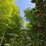 La Casa Blu Di Monasteto Bed & Breakfast Tricesimo
