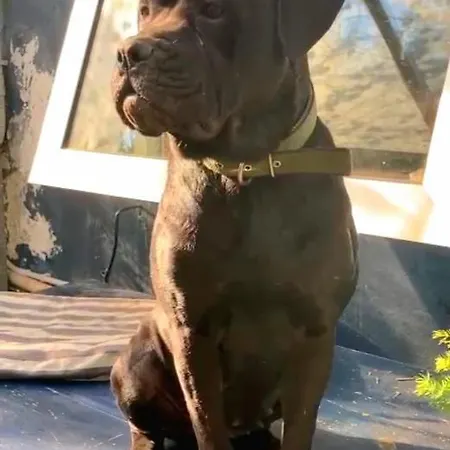Alojamento de Acomodação e Pequeno-almoço La Casa Blu Di Monasteto Tricesimo