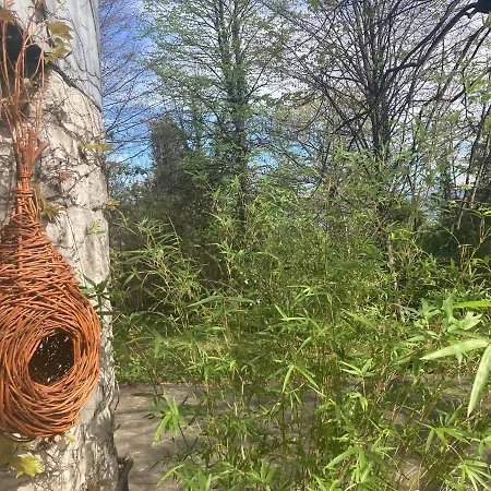 La Casa Blu Di Monasteto 3* Tricesimo