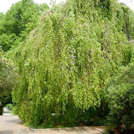 La Casa Blu Di Monasteto فندق مبيت وإفطار Tricesimo