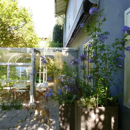Alojamento de Acomodação e Pequeno-almoço La Casa Blu Di Monasteto