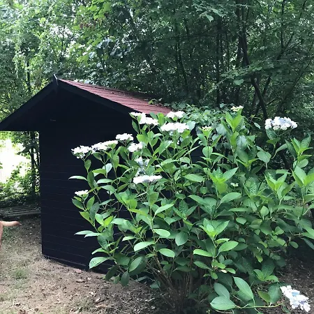 La Casa Blu Di Monasteto Alojamento de Acomodação e Pequeno-almoço 3*