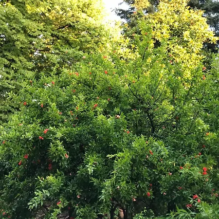 La Casa Blu Di Monasteto Tricesimo