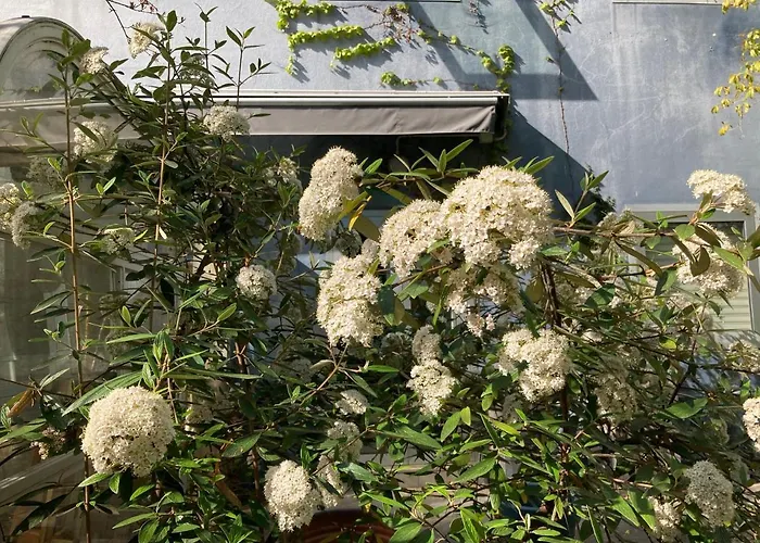 La Casa Blu Di Monasteto Bed & Breakfast Tricesimo