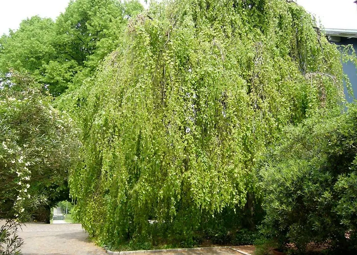 La Casa Blu Di Monasteto Bed & Breakfast Tricesimo