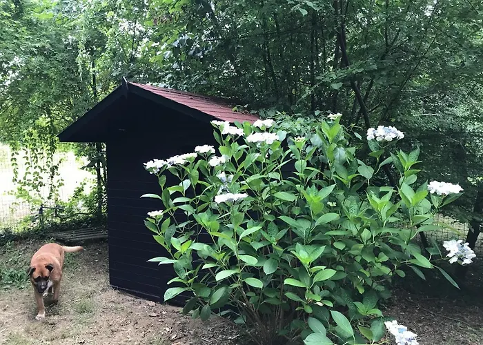 La Casa Blu Di Monasteto Bed & Breakfast 3*