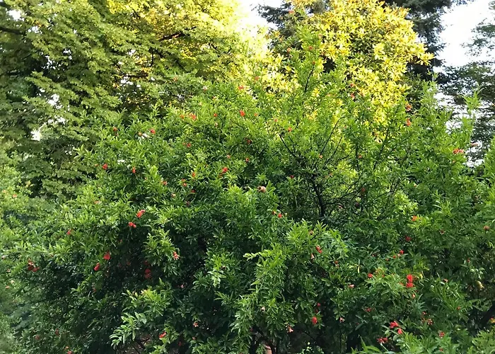 La Casa Blu Di Monasteto Tricesimo